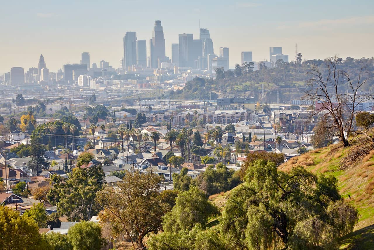 View of East Hollywood, California, with residential streets lined by palm trees, and downtown LA skyscrapers rising in the misty distance.