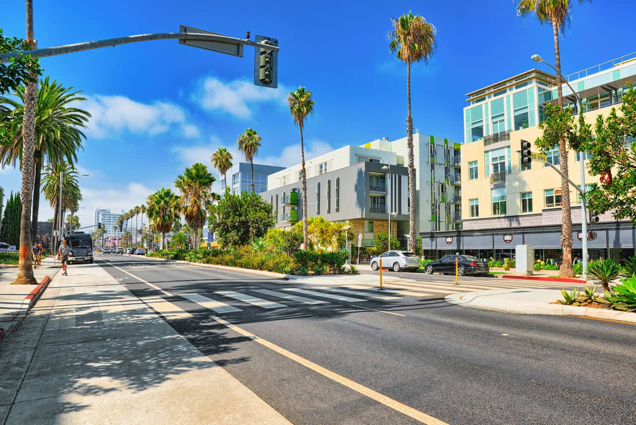 A sunny street in Santa Monica, California, lined with palm trees, modern buildings, and parked cars under a bright blue sky.