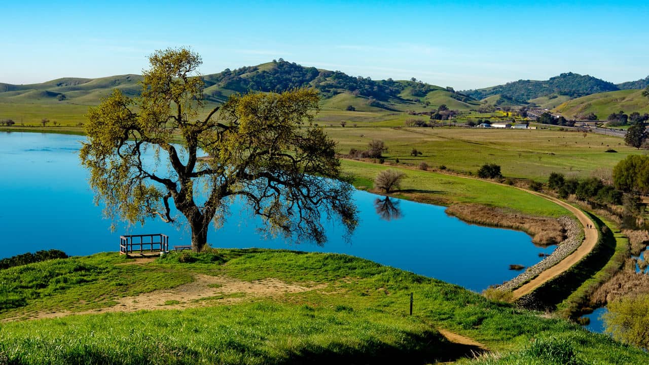 Lone oak tree and viewing platform overlook blue lake and hiking trail, with rolling hills of Vacaville, California in distance.