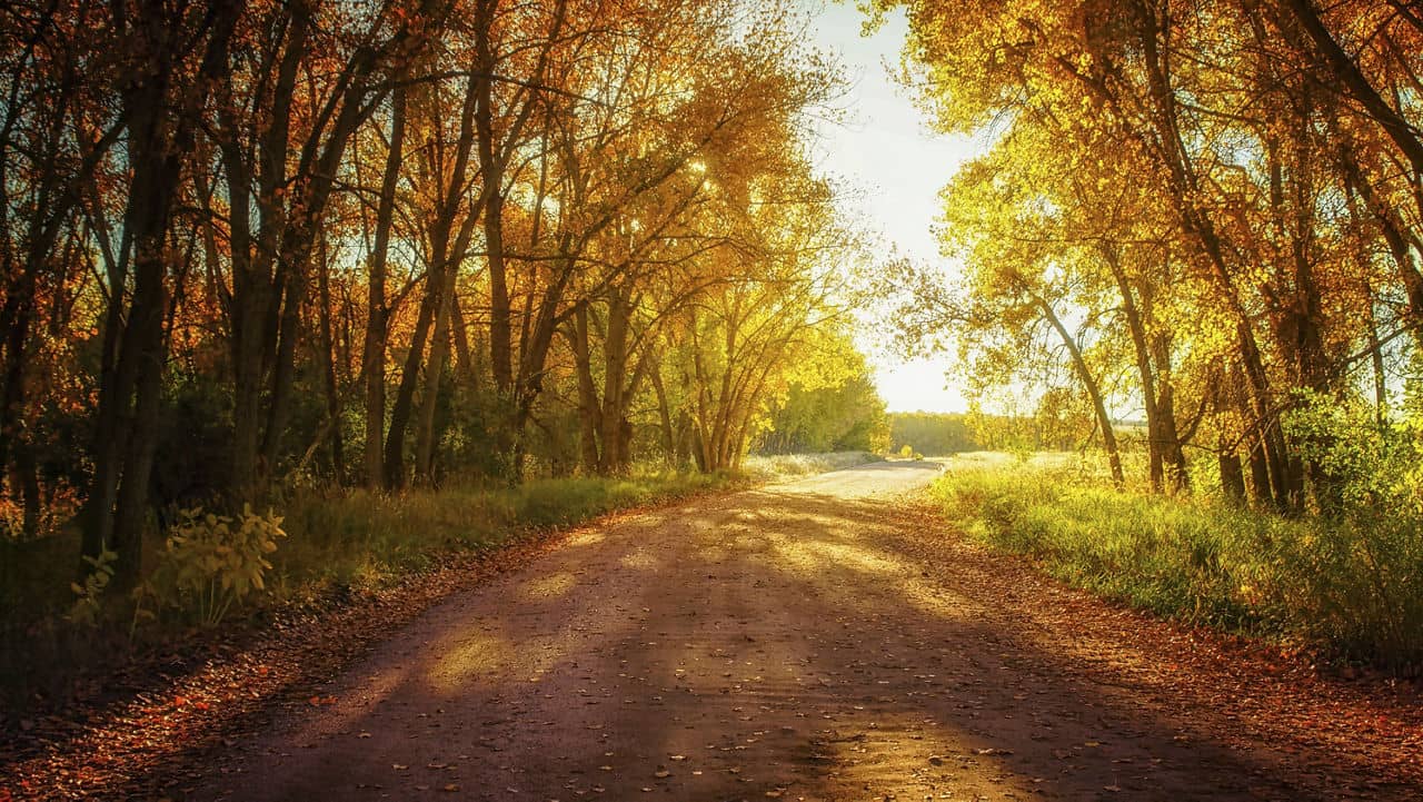 A dirt road cuts through Chatfield State Park in Colorado during fall