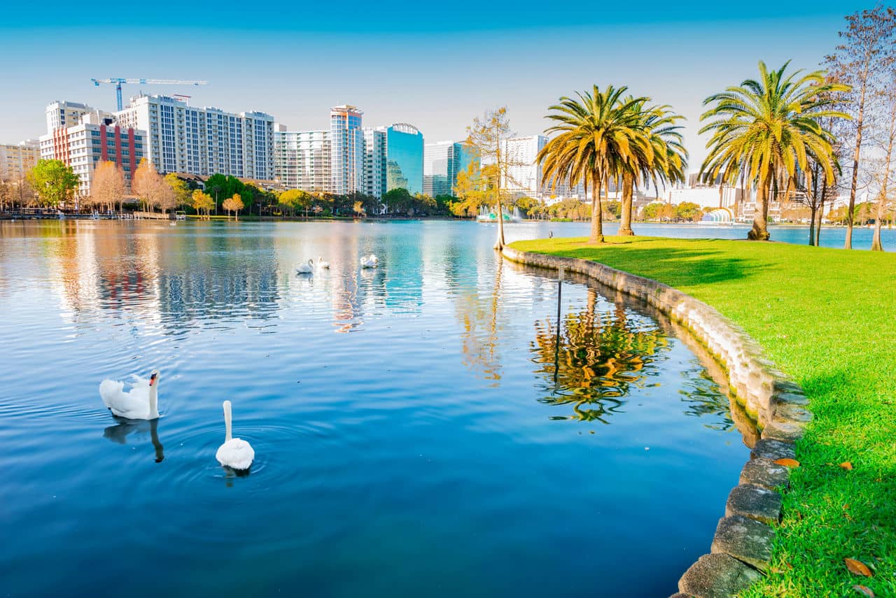  Lake Eola in Northeast Orlando, Florida, with swans swimming, palm trees along shore, and downtown skyline reflected in water.