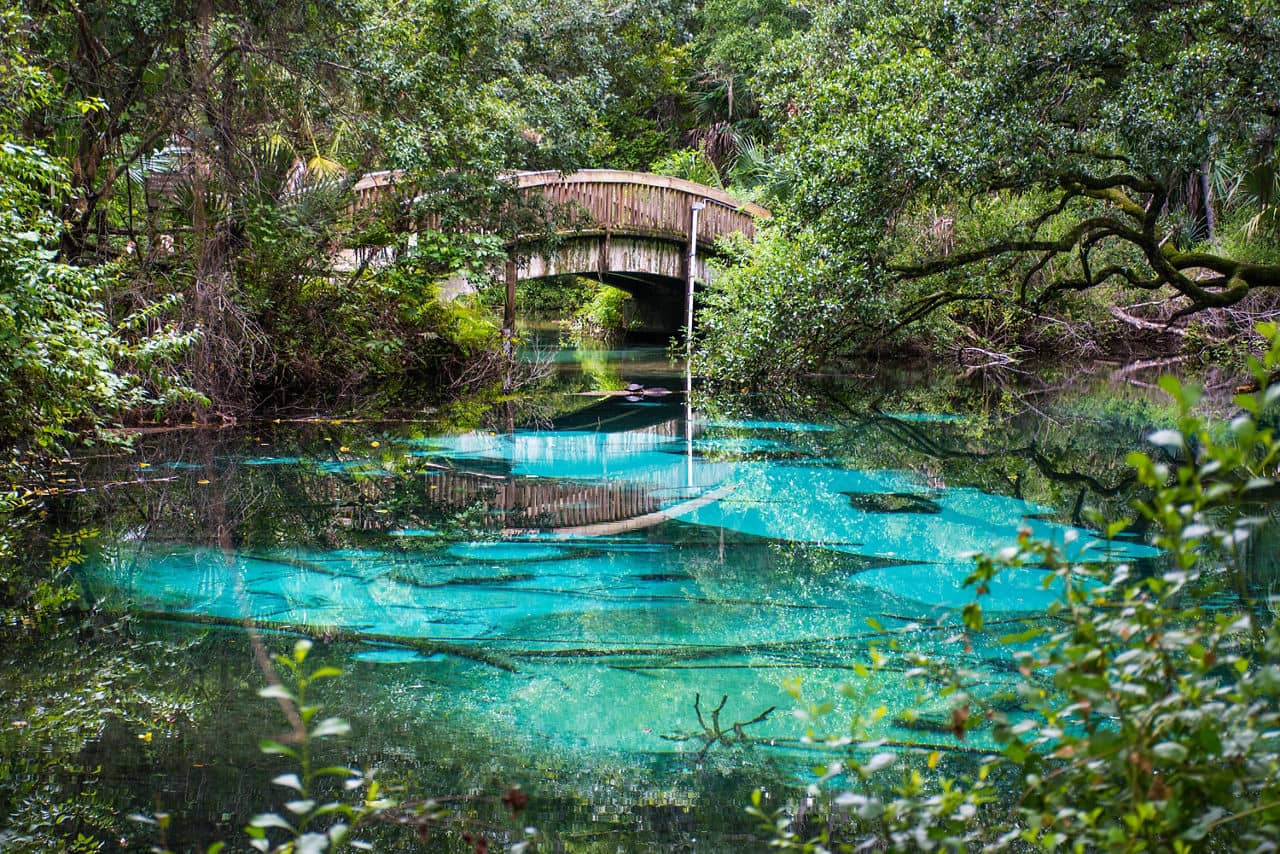 Wooden footbridge over stunningly clear turquoise spring water in Ocala, Florida, surrounded by lush green trees.