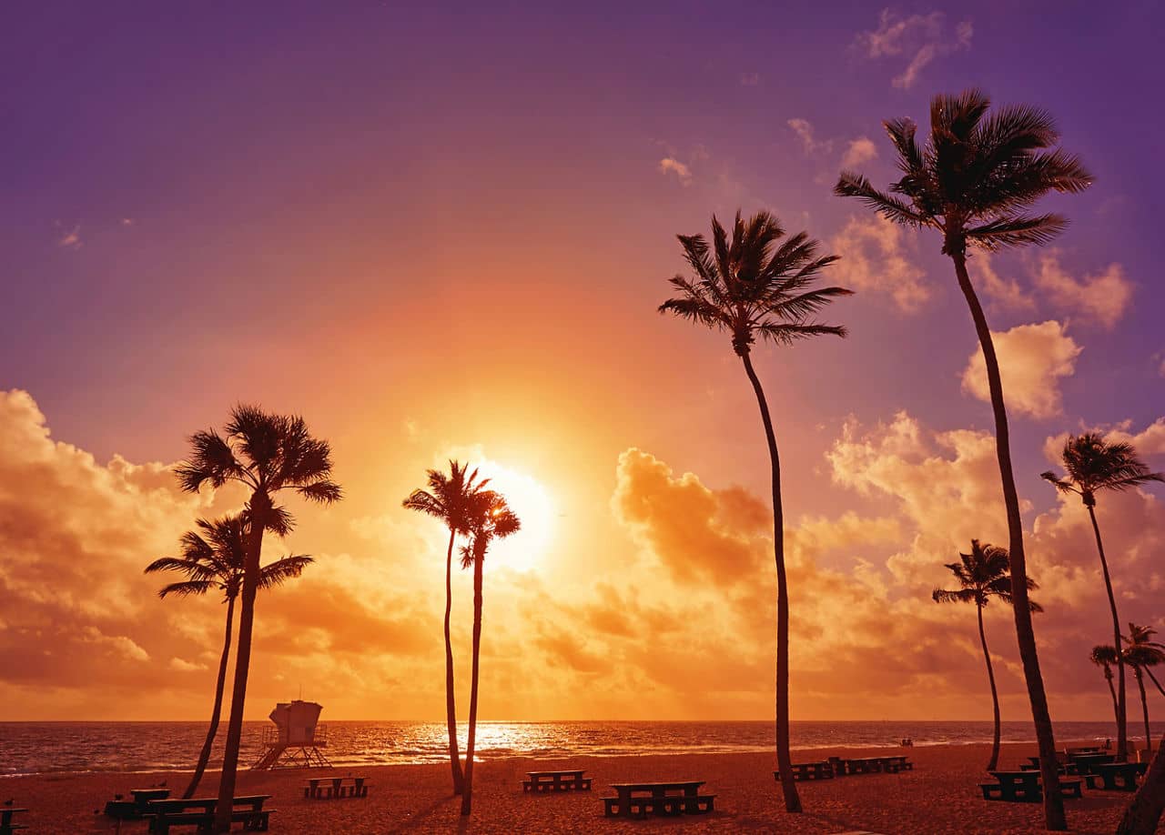 Fort Lauderdale beach morning sunrise in Florida USA palm trees