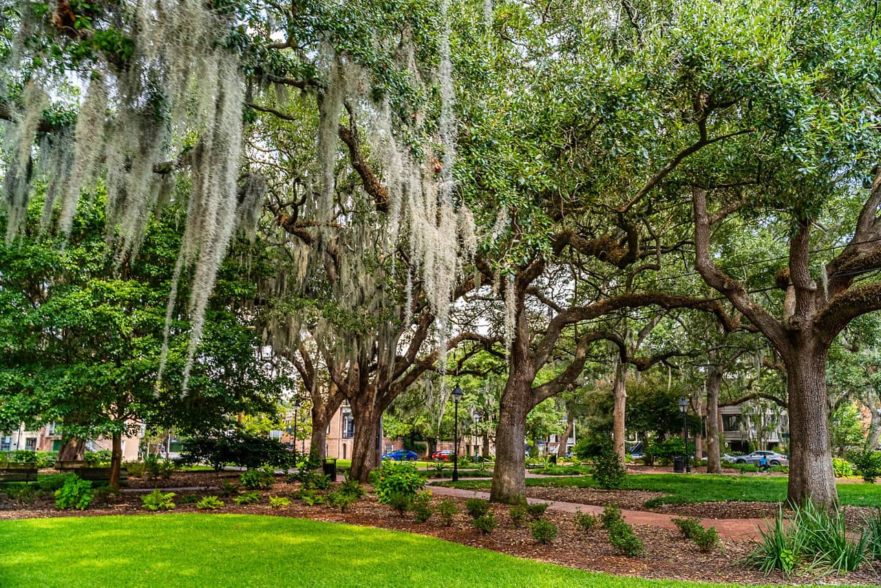 Lush park in Calhoun, GA with majestic oak trees draped in Spanish moss, winding brick paths, and green lawn areas.
