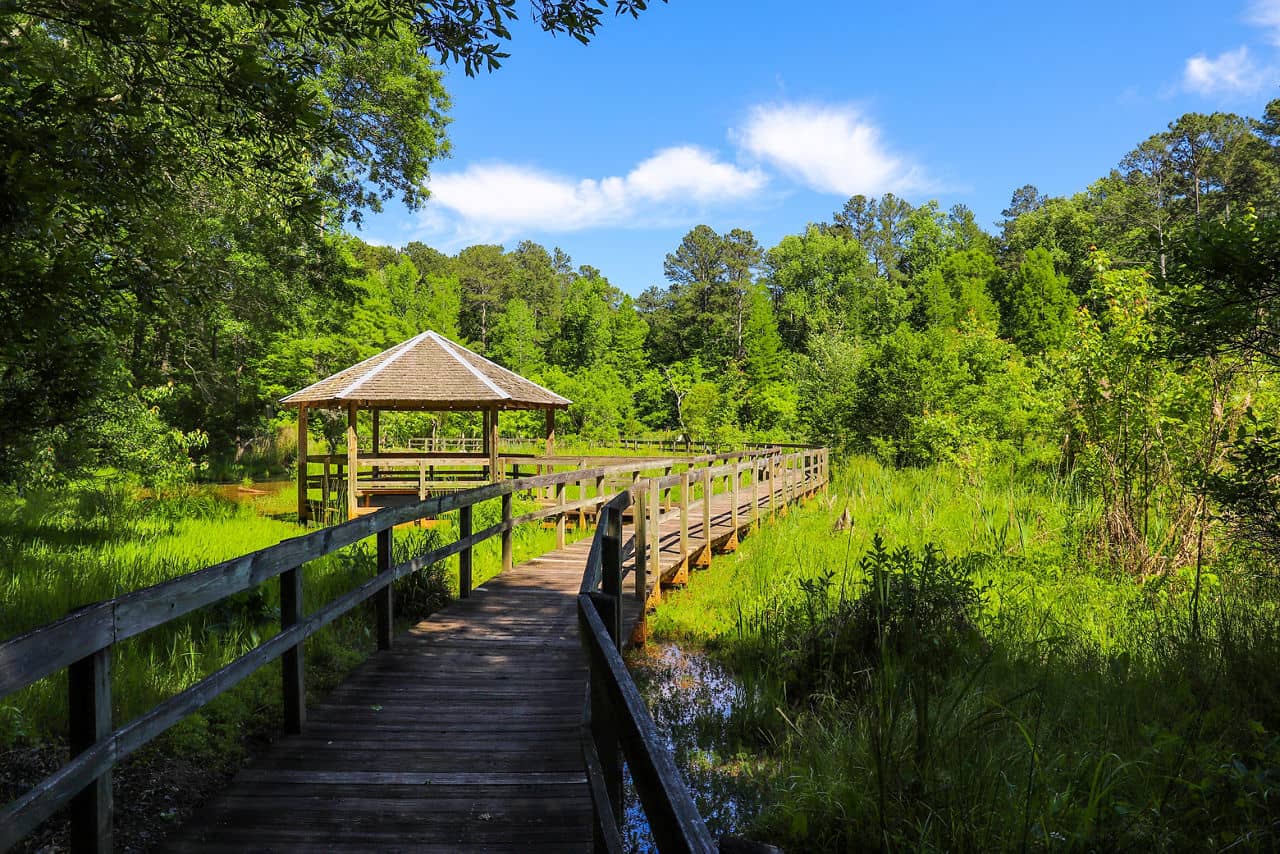 Wooden boardwalk through wetlands in Henry County, GA with covered gazebo, lush green vegetation, and blue sky above.