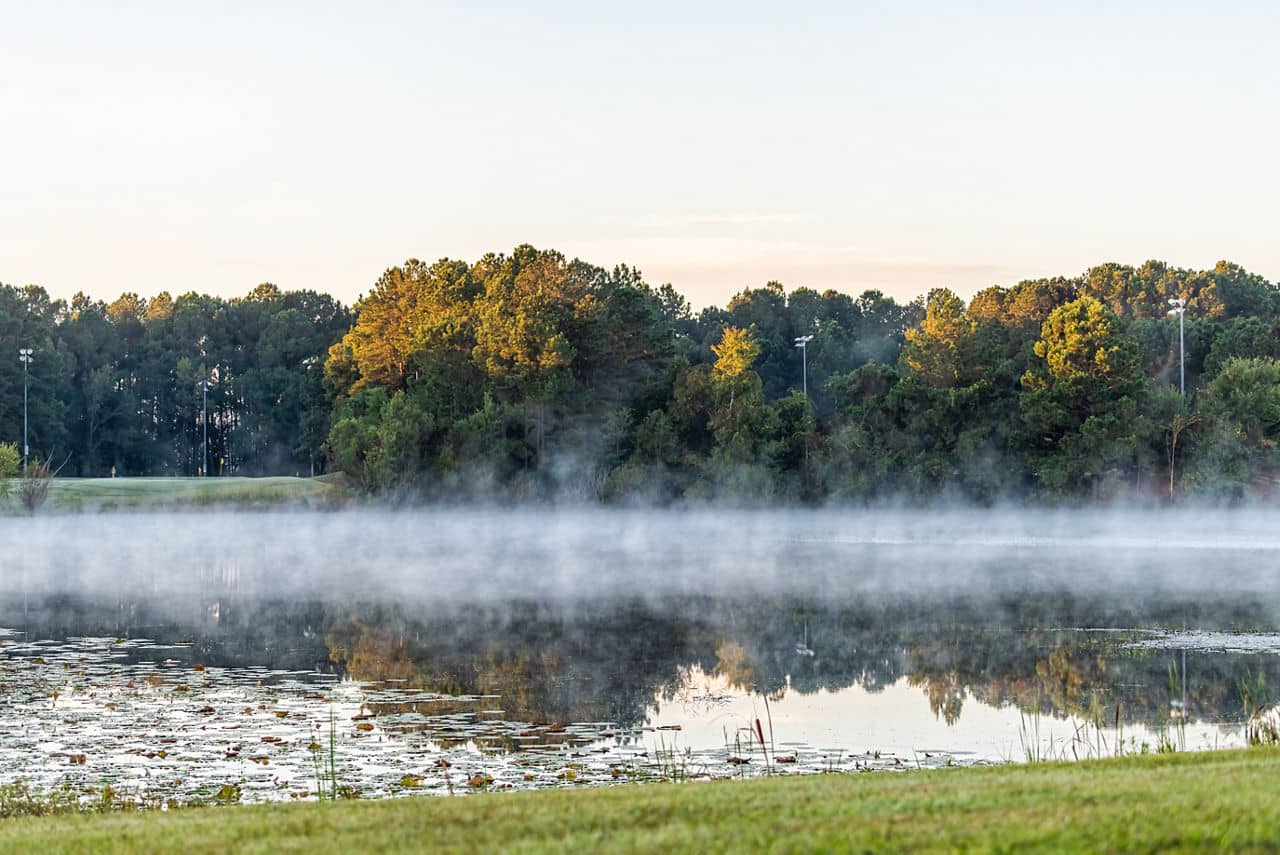 Early morning mist hovering over a tranquil pond in Pooler, GA with fall-colored trees reflected in the water and lily pads.