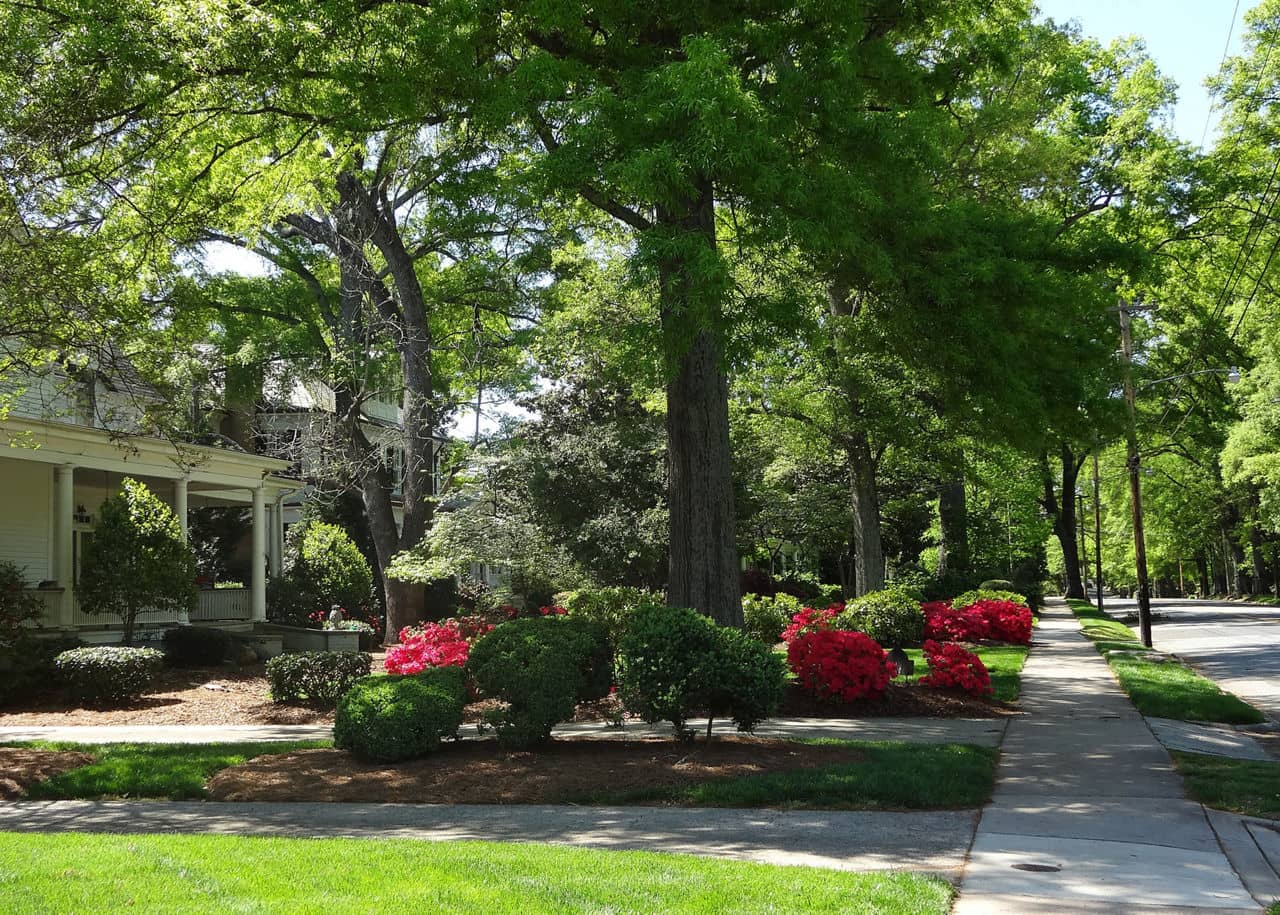 Concrete and asphalt driveways and sidewalks in a historic Concord, North Carolina neighborhood on a sunny spring day.