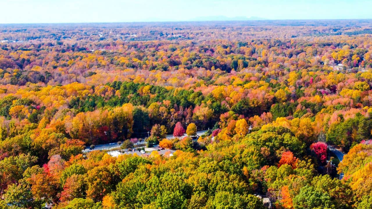Kernersville NC aerial view showcasing fall foliage and tree-covered neighborhoods - Forsyth County North Carolina living