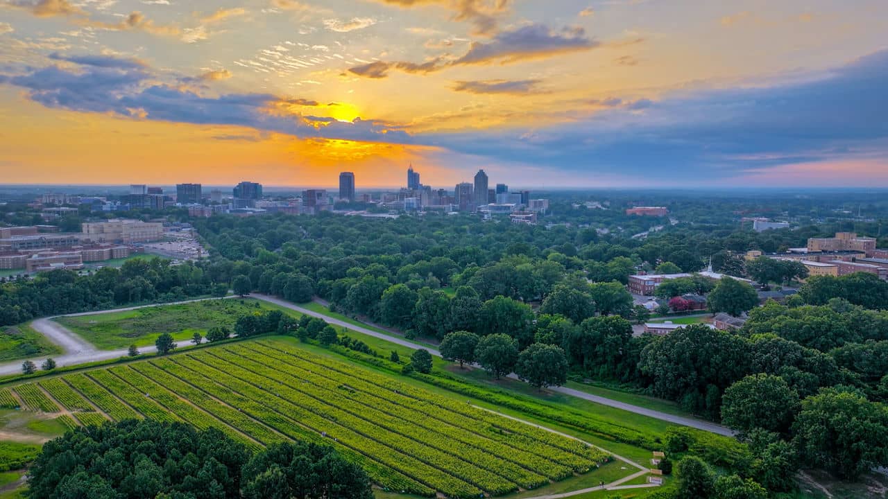 The Raleigh, North Carolina city skyline is silhouetted against a beautiful sunset over a field of blooming yellow sunflowers.