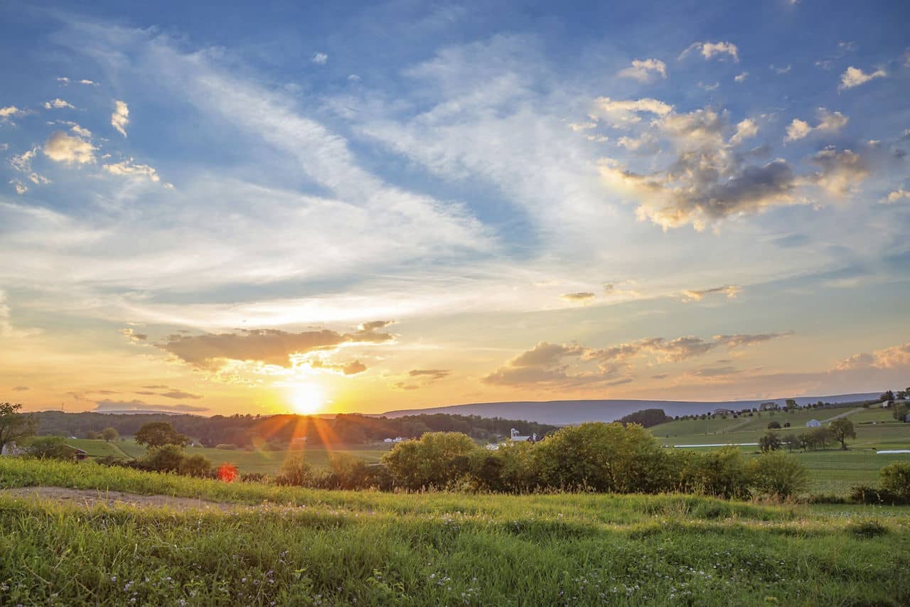 meadow in Bloomsburg-Berwick