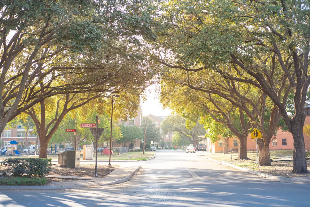 Tree lined street on a sunny day in Roesedale Brentwood section of Austin