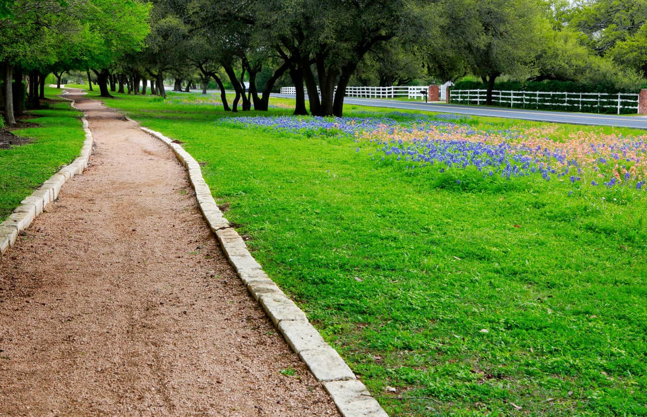 A winding dirt path lined with trees and a field of blue and orange flowers in Red Oak, Texas.