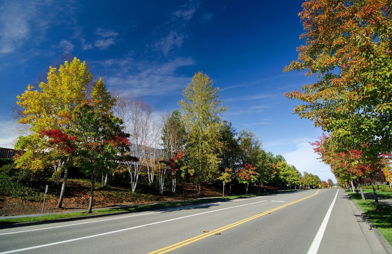 Asphalt road of a residential street in Redmond, Seattle suburbs, during early fall season, with red and green foliage