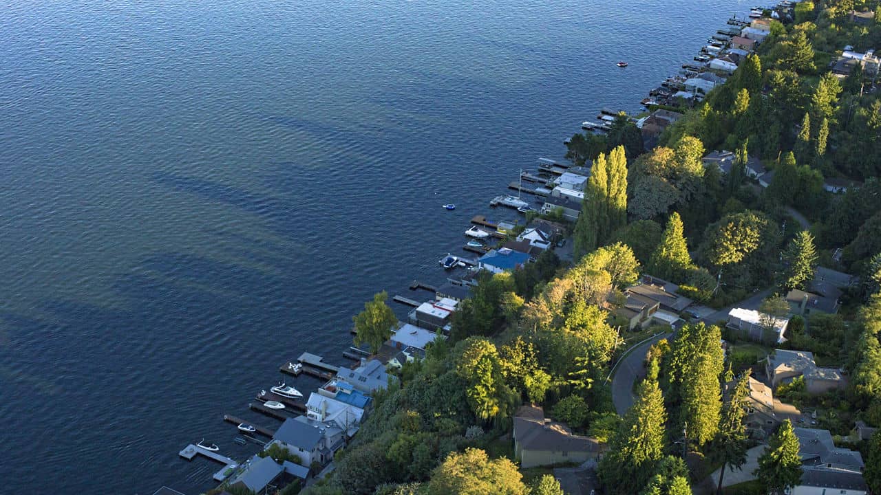 Shoreline Apartments