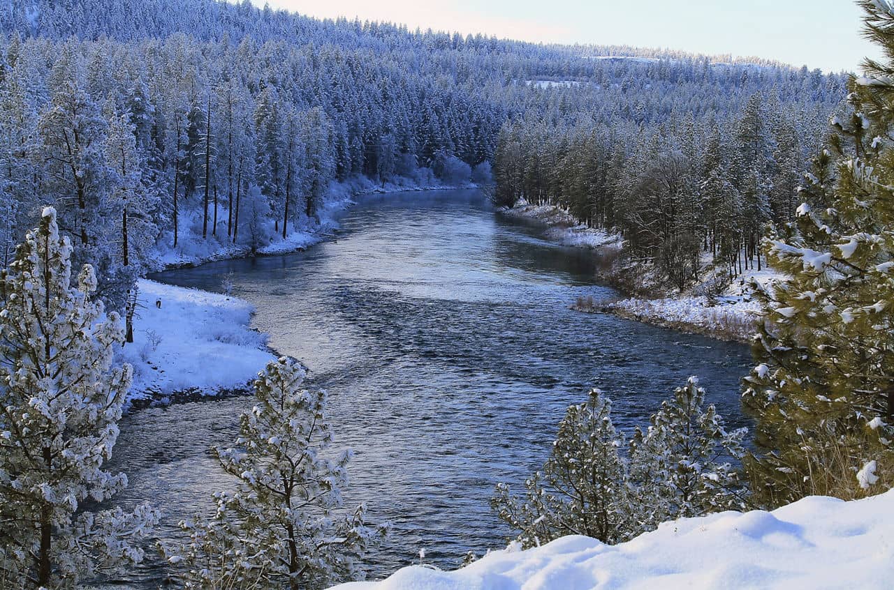 Spokane River Flowing Through a Snowy Forest